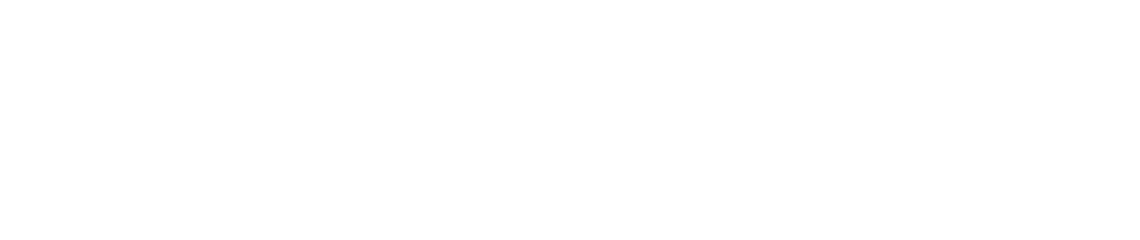 DORN DEFENCE SYSTEMS